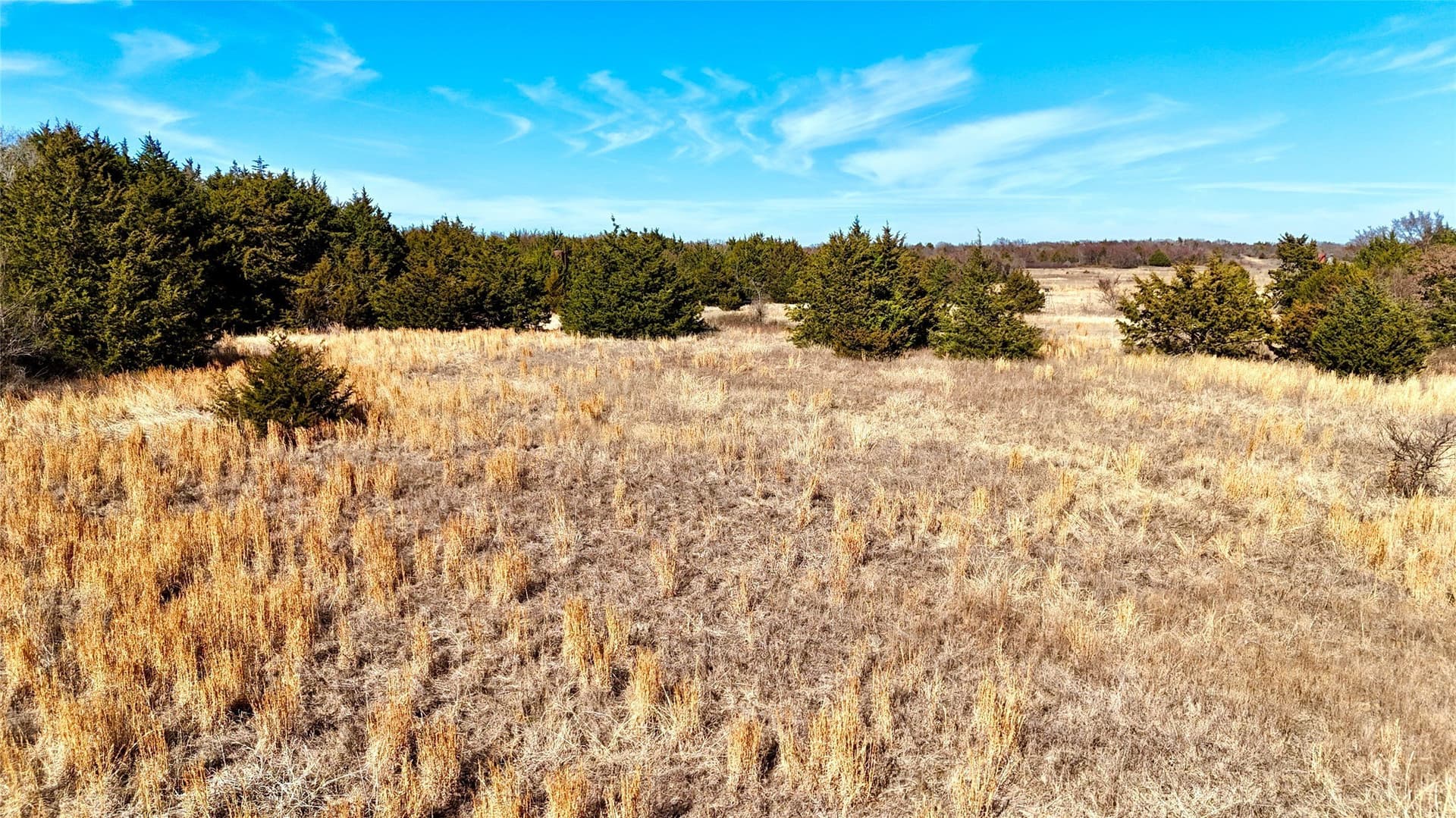 88 acres in Cooke County - photo 2