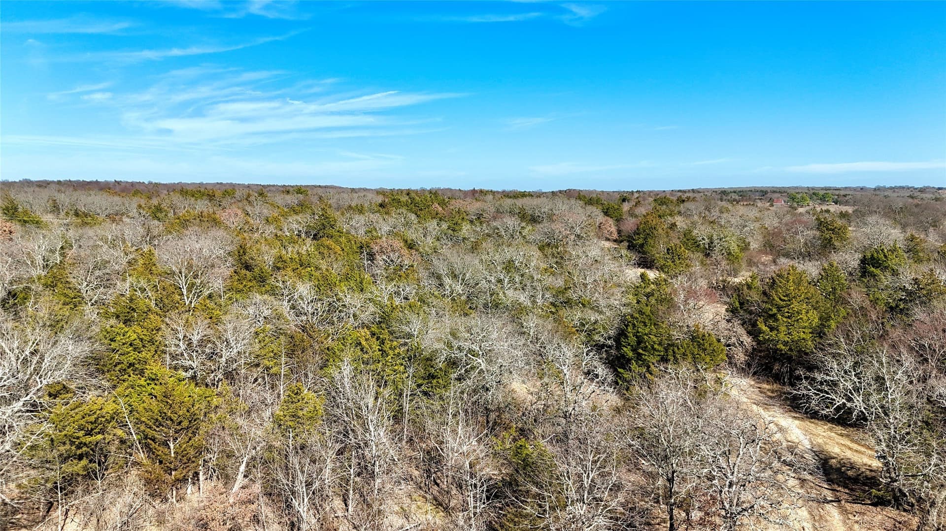 88 acres in Cooke County - photo 19