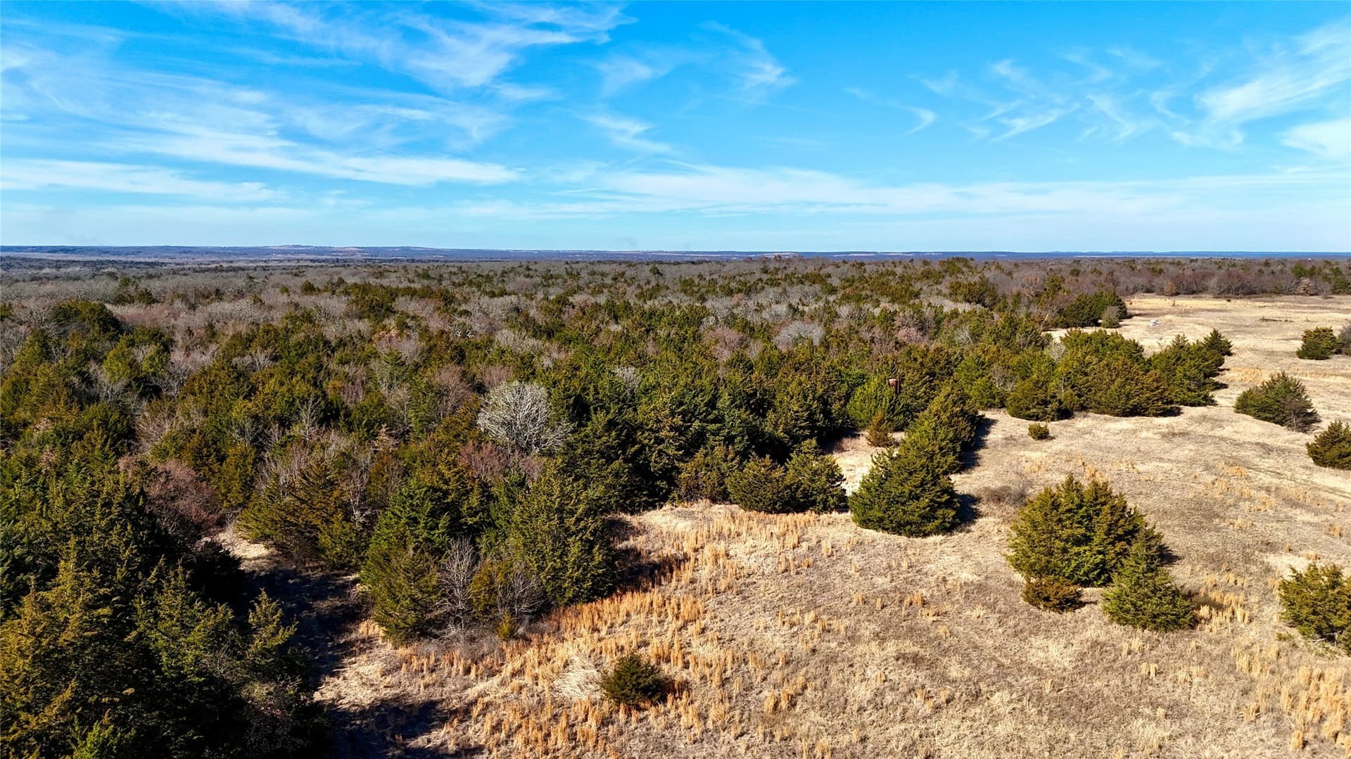 88 acres in Cooke County - photo 4