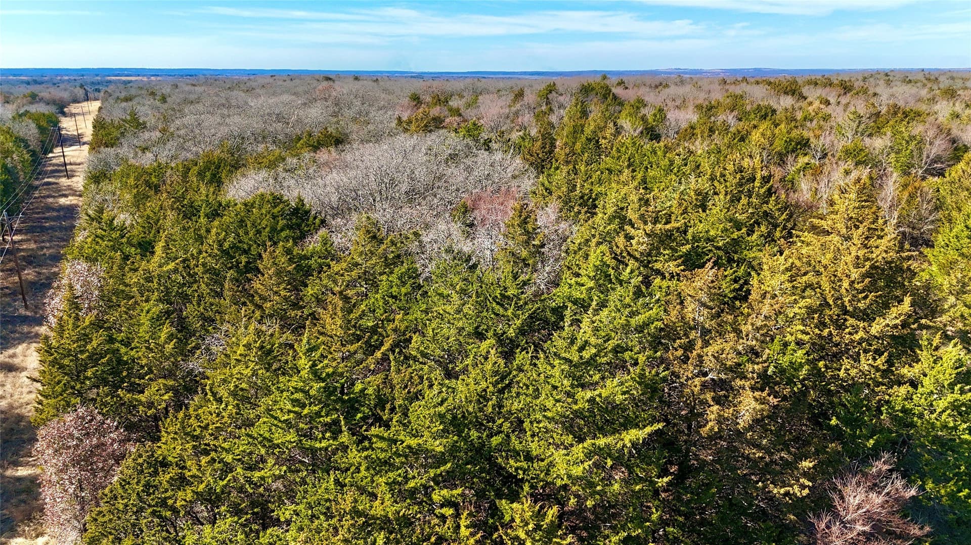 88 acres in Cooke County - photo 26