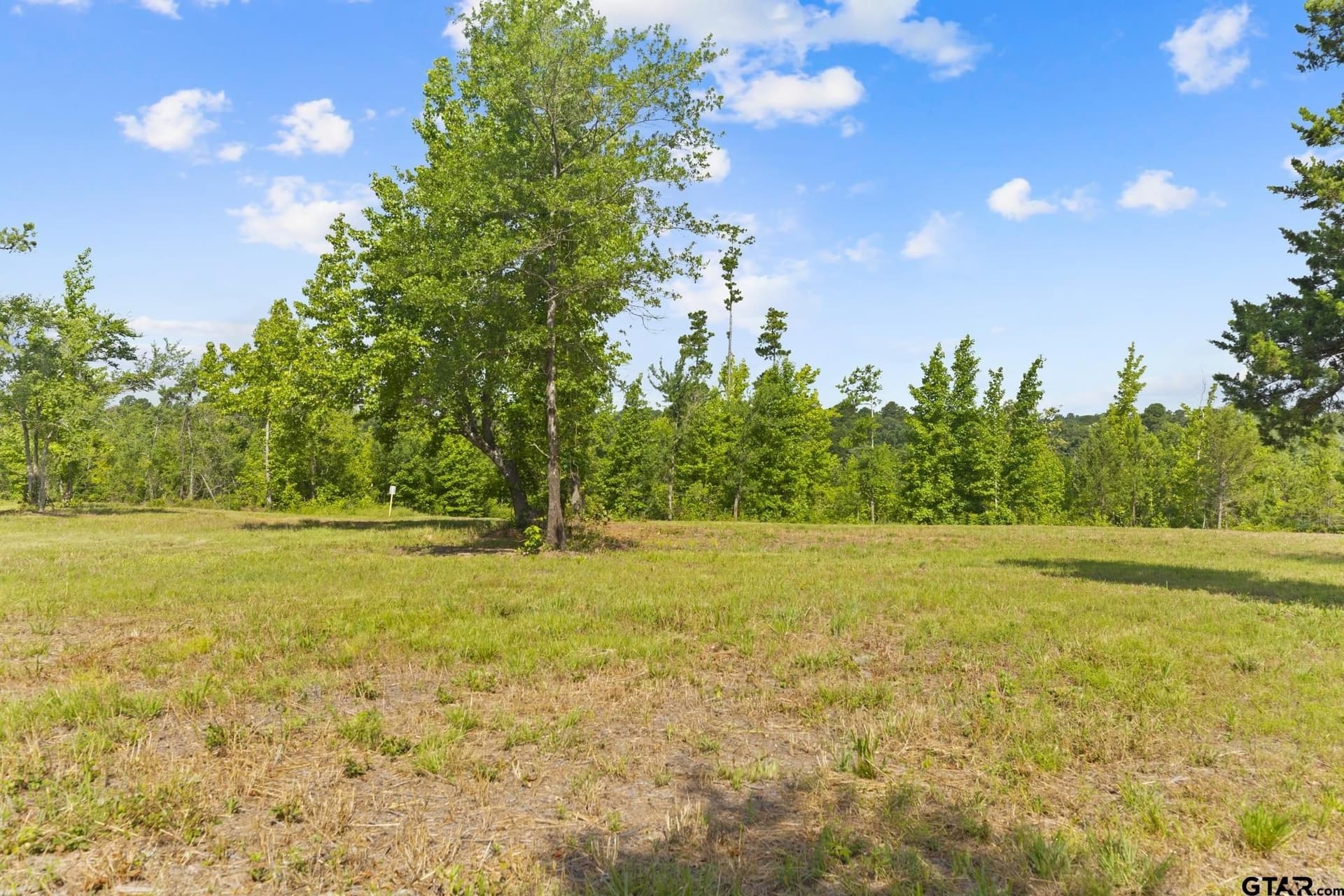 0.69 acres in Smith County gallery image 2