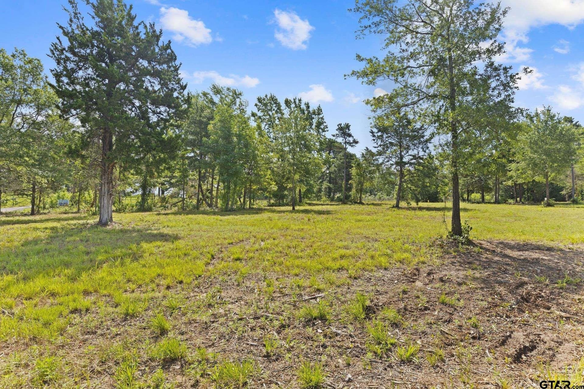 0.69 acres in Smith County gallery image 3