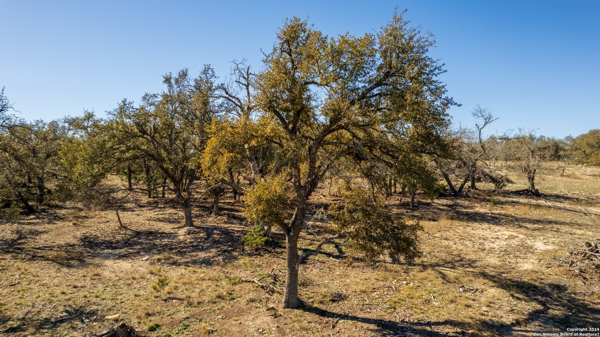 10.01 acres in Kerr County - photo 6