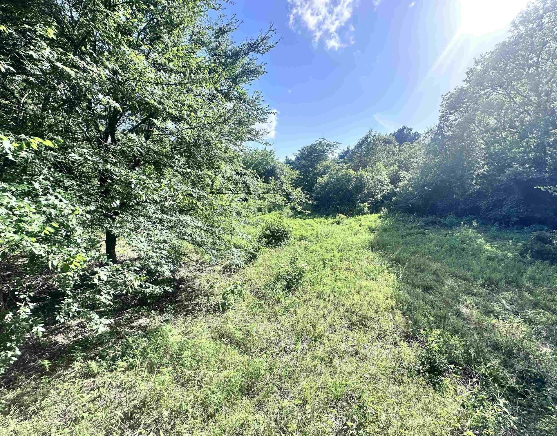 1 acres in Upshur County gallery image 3