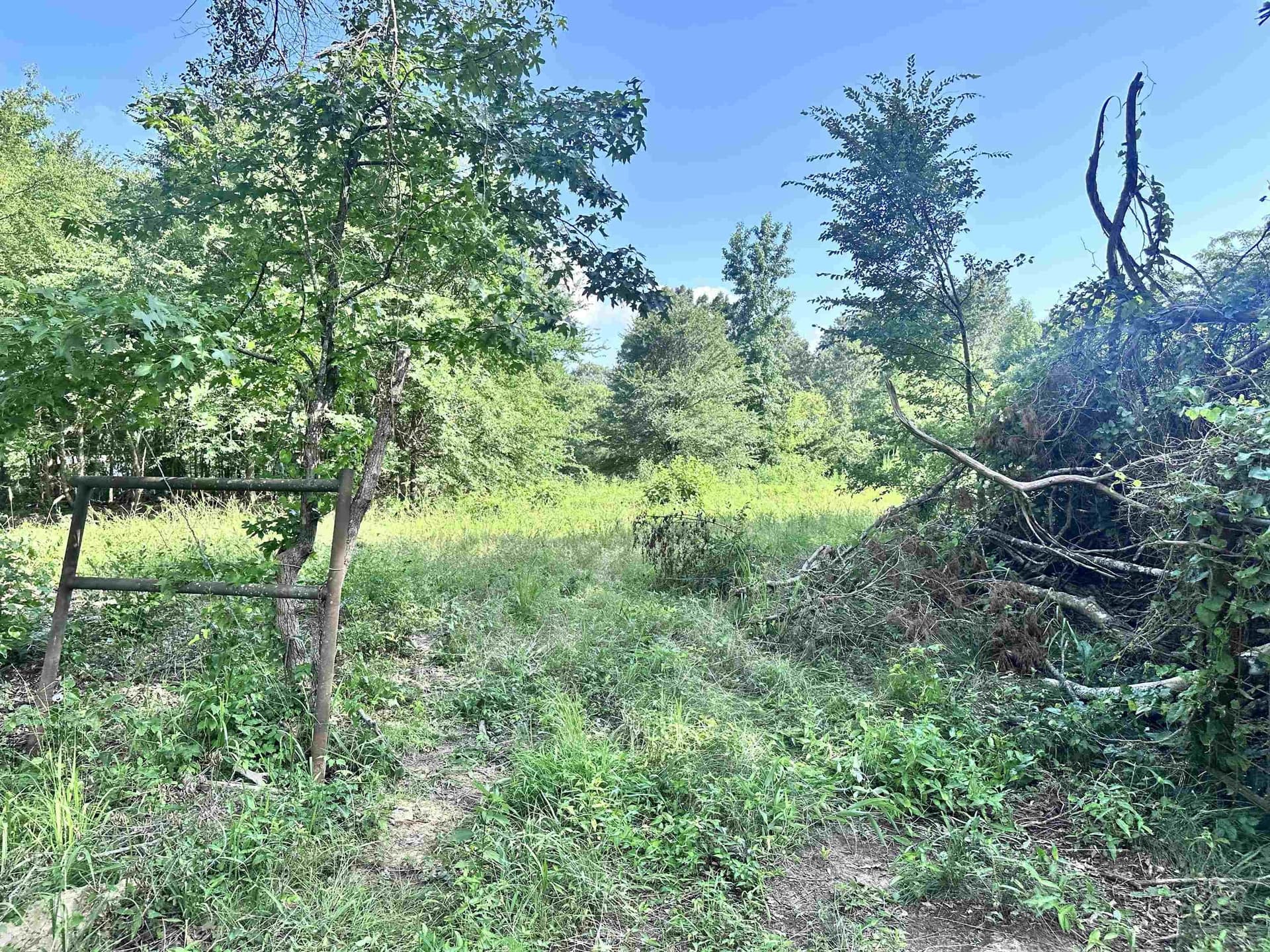 1 acres in Upshur County gallery image 4