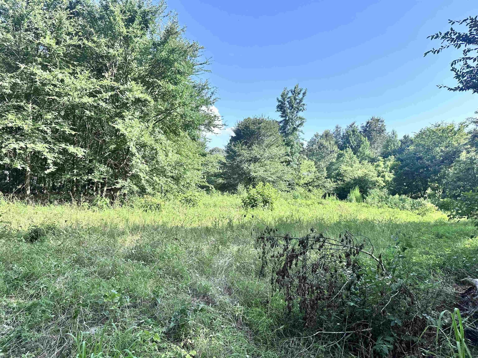 1 acres in Upshur County