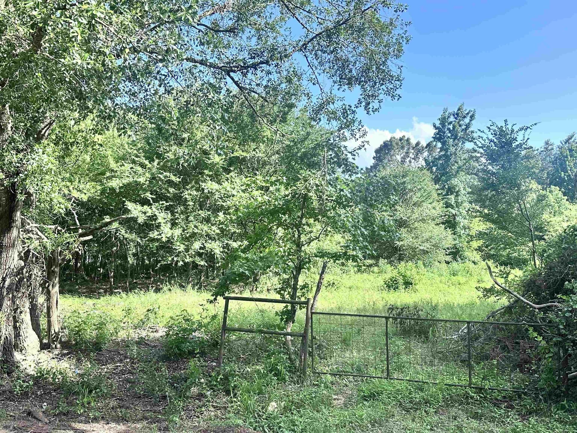 1 acres in Upshur County featured view