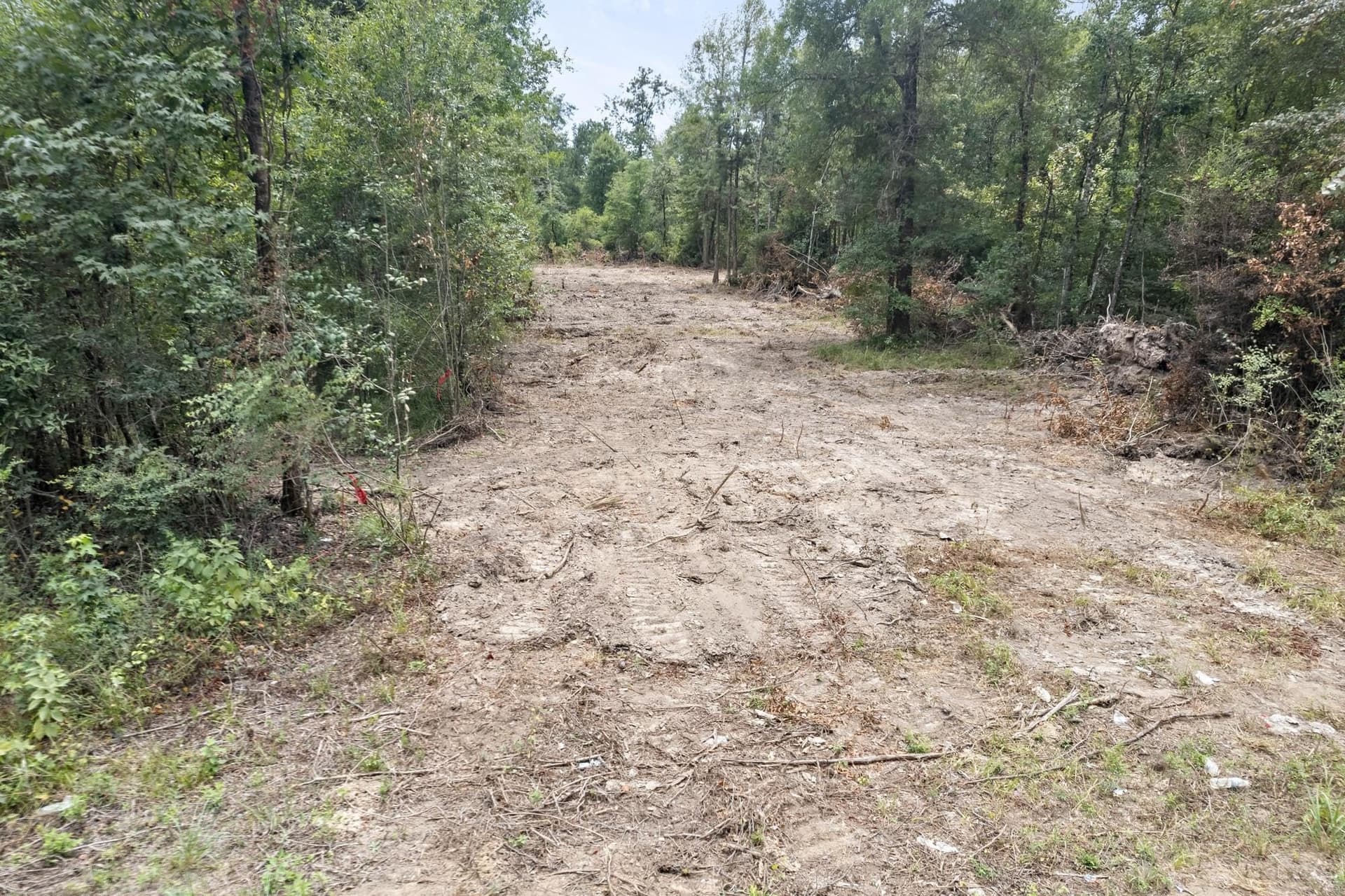 15 acres in Texas County - photo 5