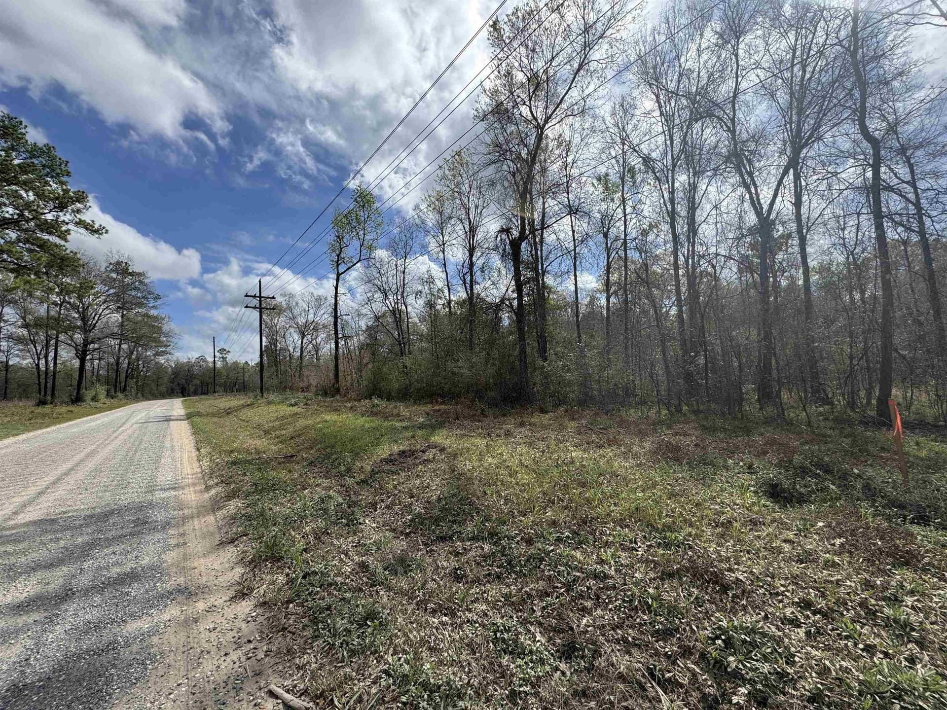 15 acres in Texas County featured view