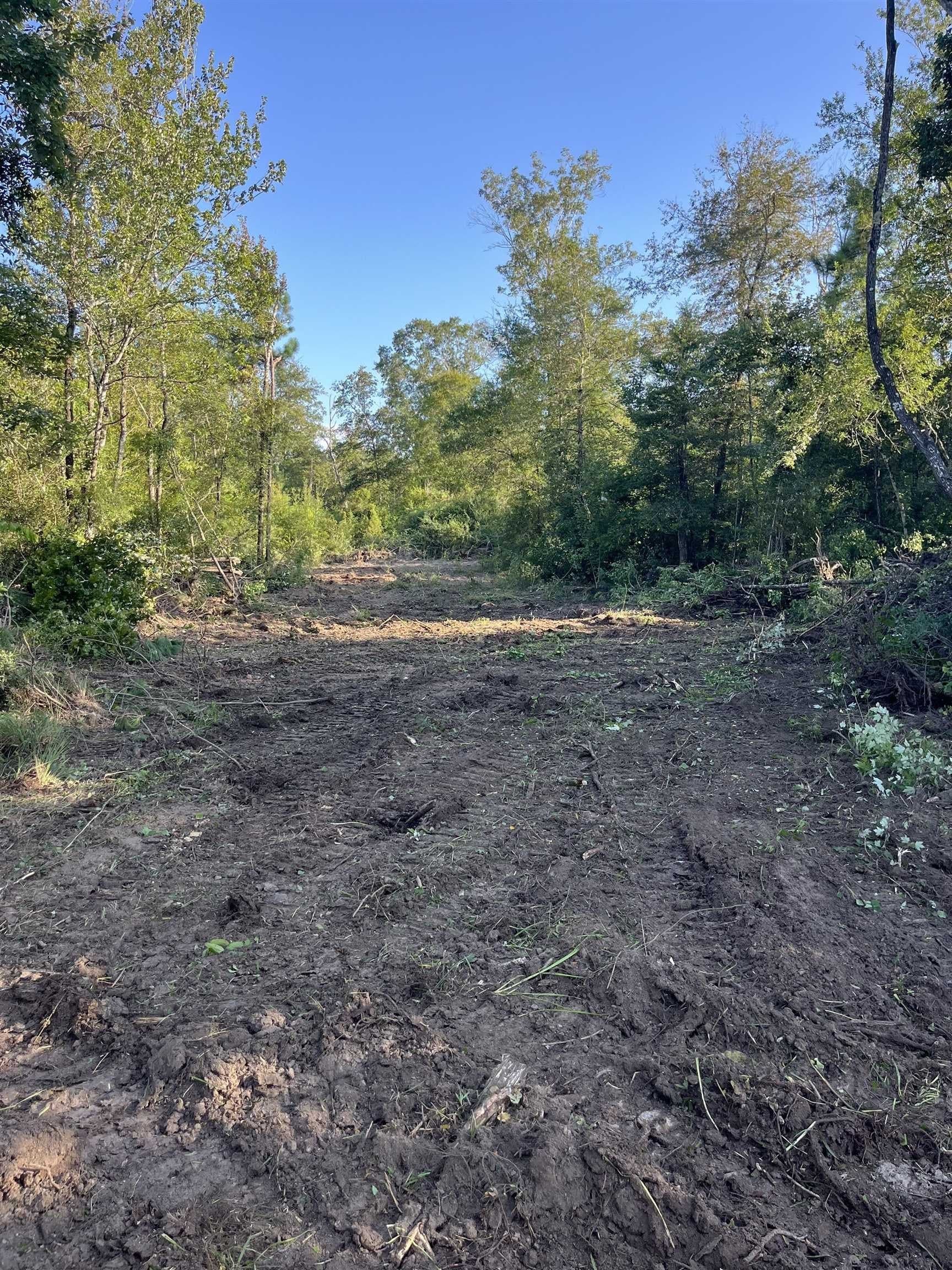 15 acres in Texas County - photo 16