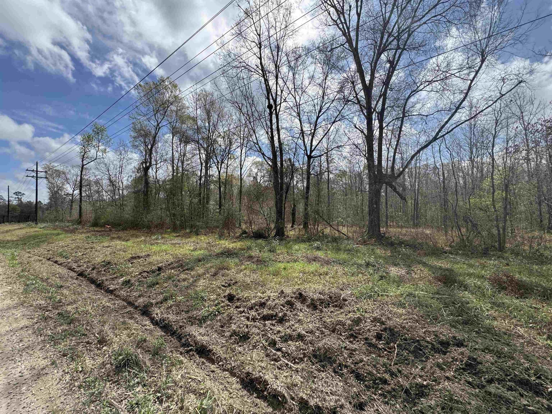 15 acres in Texas County gallery image 4