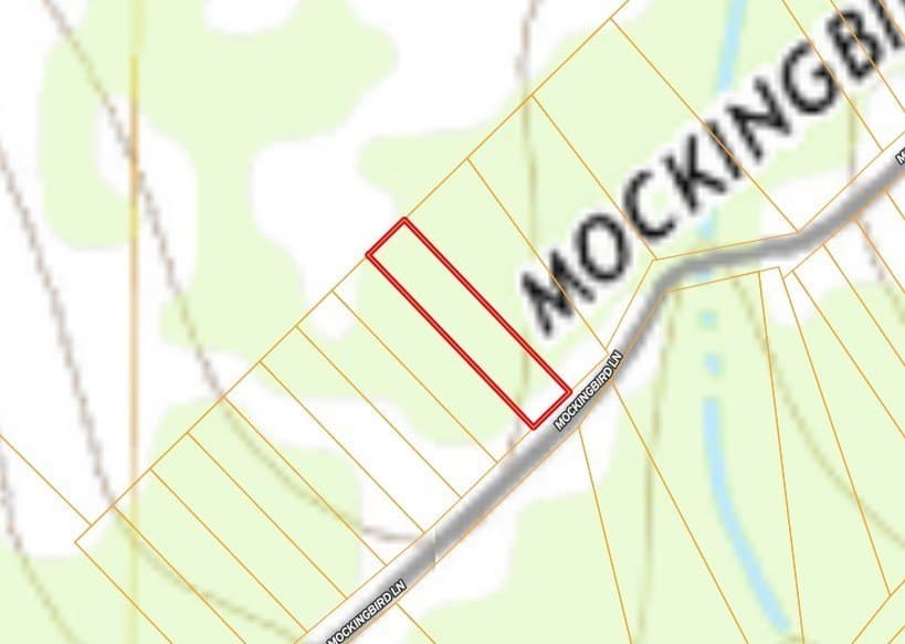 1 acres in Live Oak County gallery image 4
