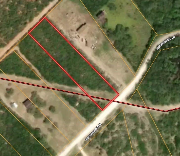 1 acres in Live Oak County gallery image 2