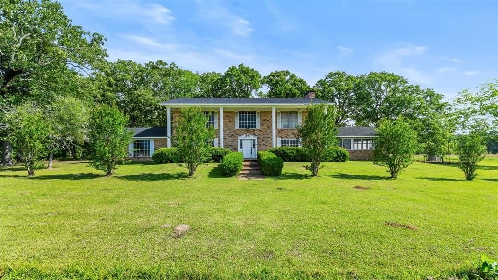 50 acres in Bowie County gallery image 3