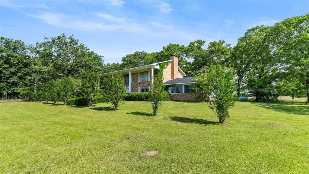 50 acres in Bowie County gallery image 4