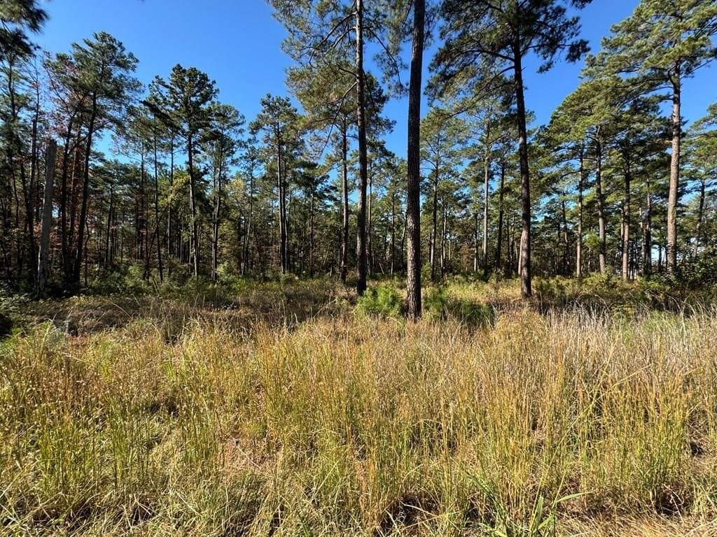 1.52 acres in Texas County