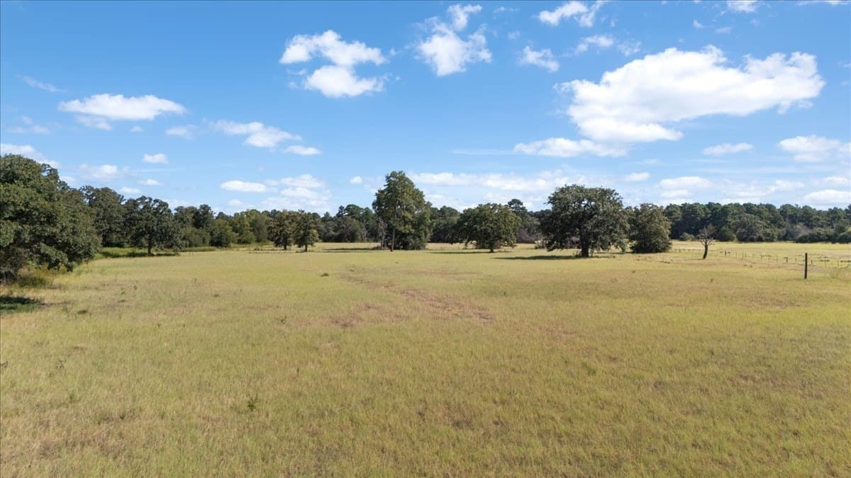 46.19 acres in Anderson County - photo 6