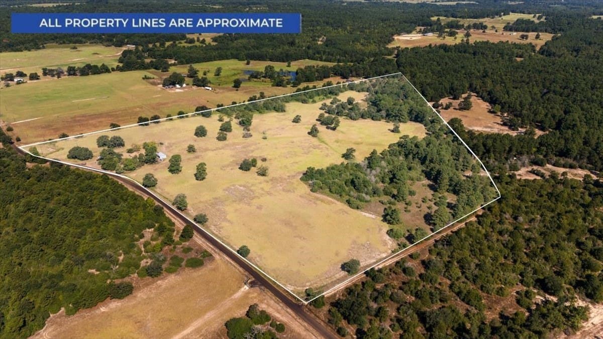 46.19 acres in Anderson County - photo 3
