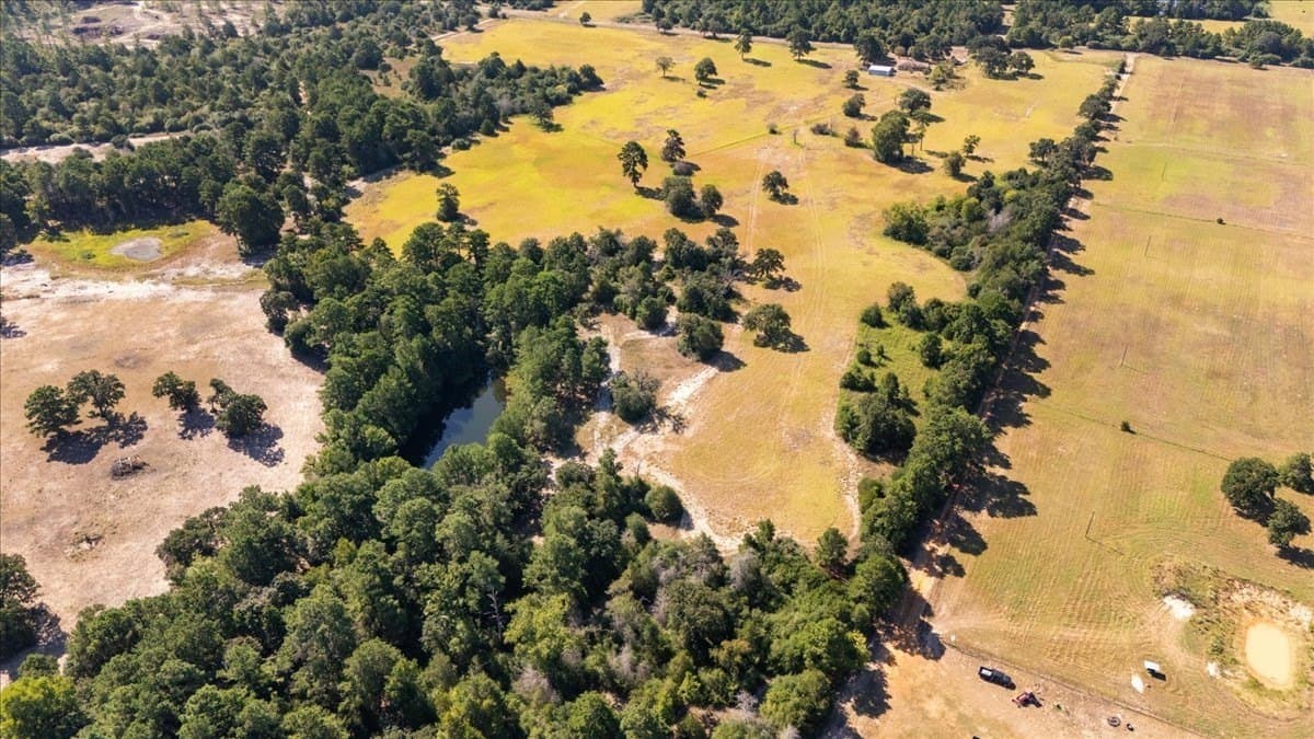 46.19 acres in Anderson County