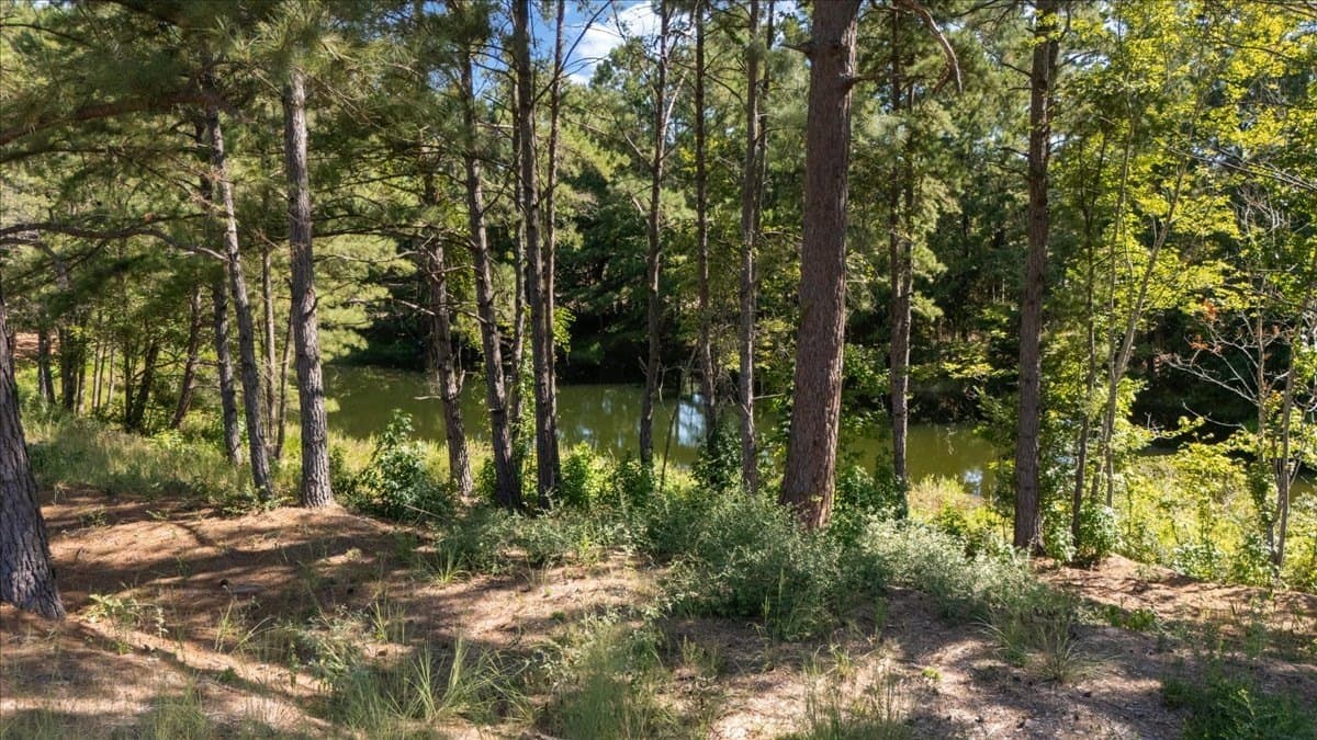 46.19 acres in Anderson County - photo 5