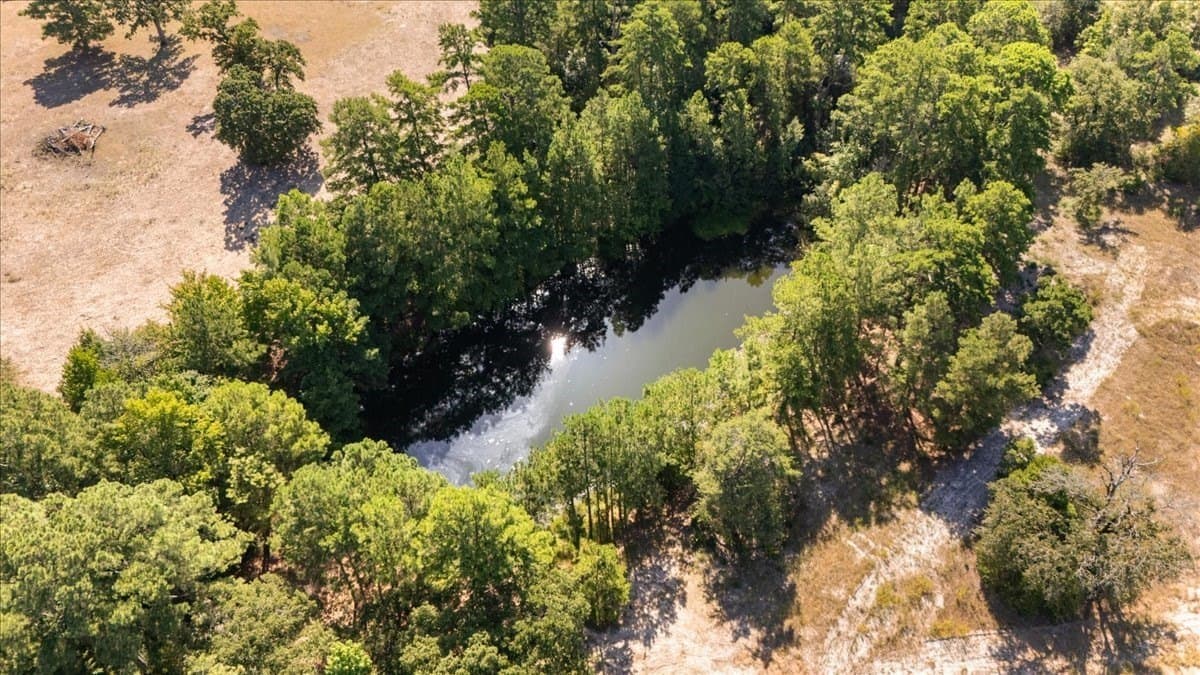 46.19 acres in Anderson County - photo 4