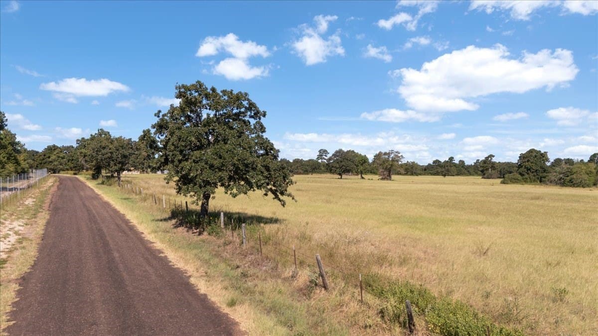 46.19 acres in Anderson County - photo 29