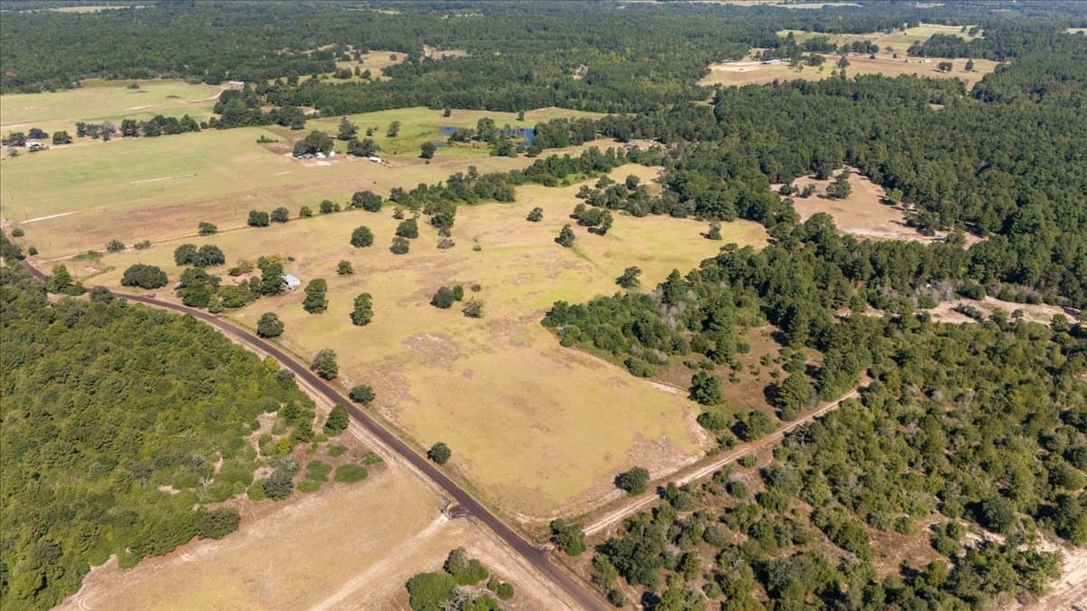 46.19 acres in Anderson County - photo 38