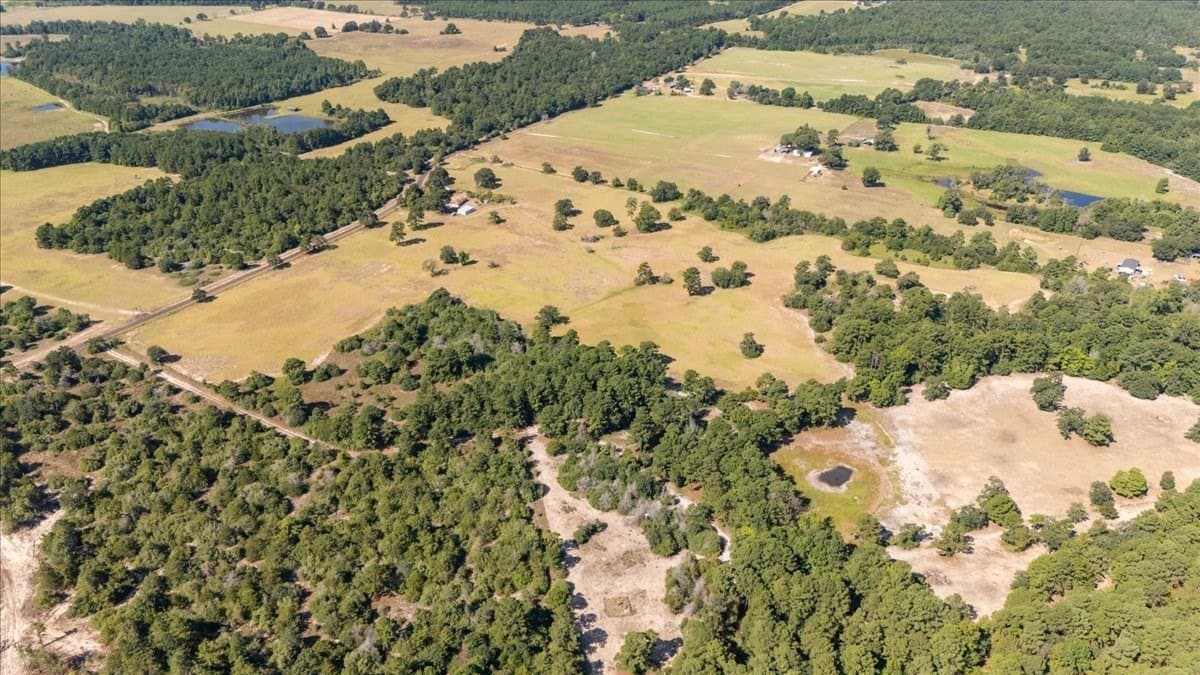 46.19 acres in Anderson County - photo 37