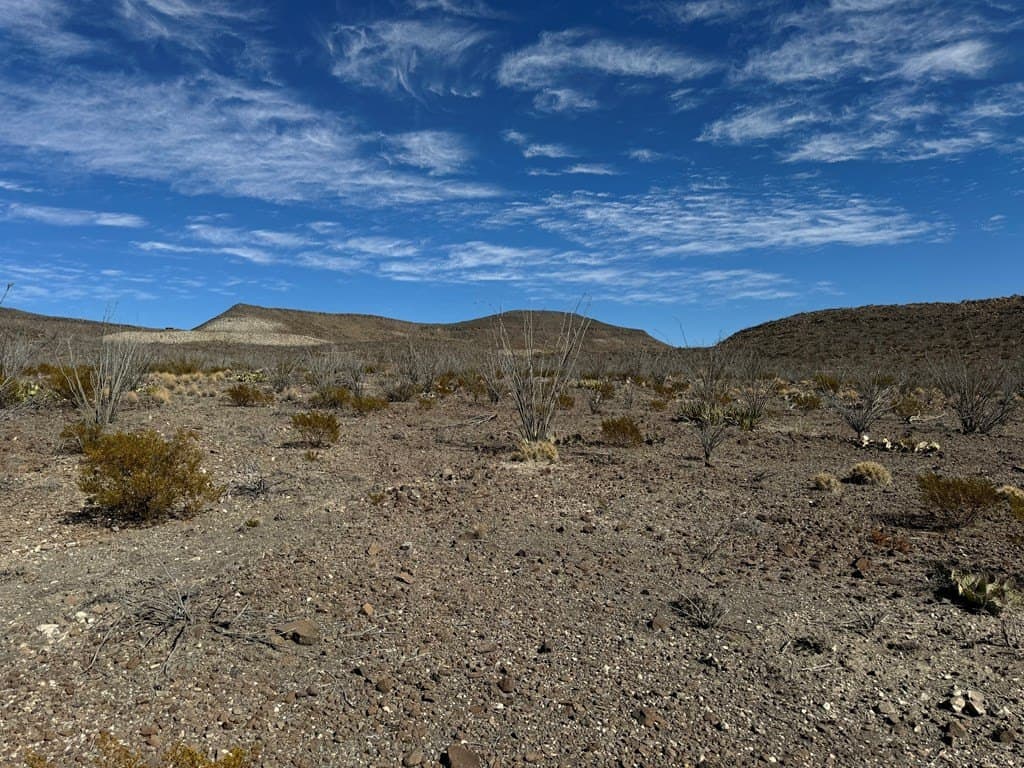 61 acres in Brewster County gallery image 4