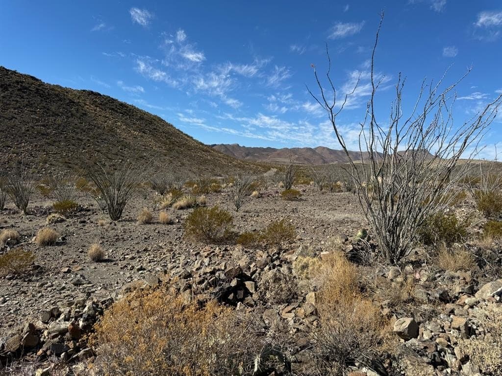 61 acres in Brewster County