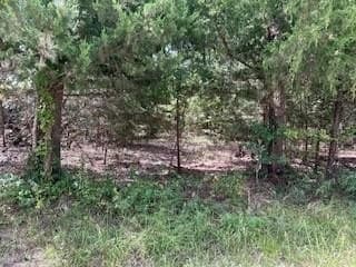 0.73 acres in Hunt County gallery image 3