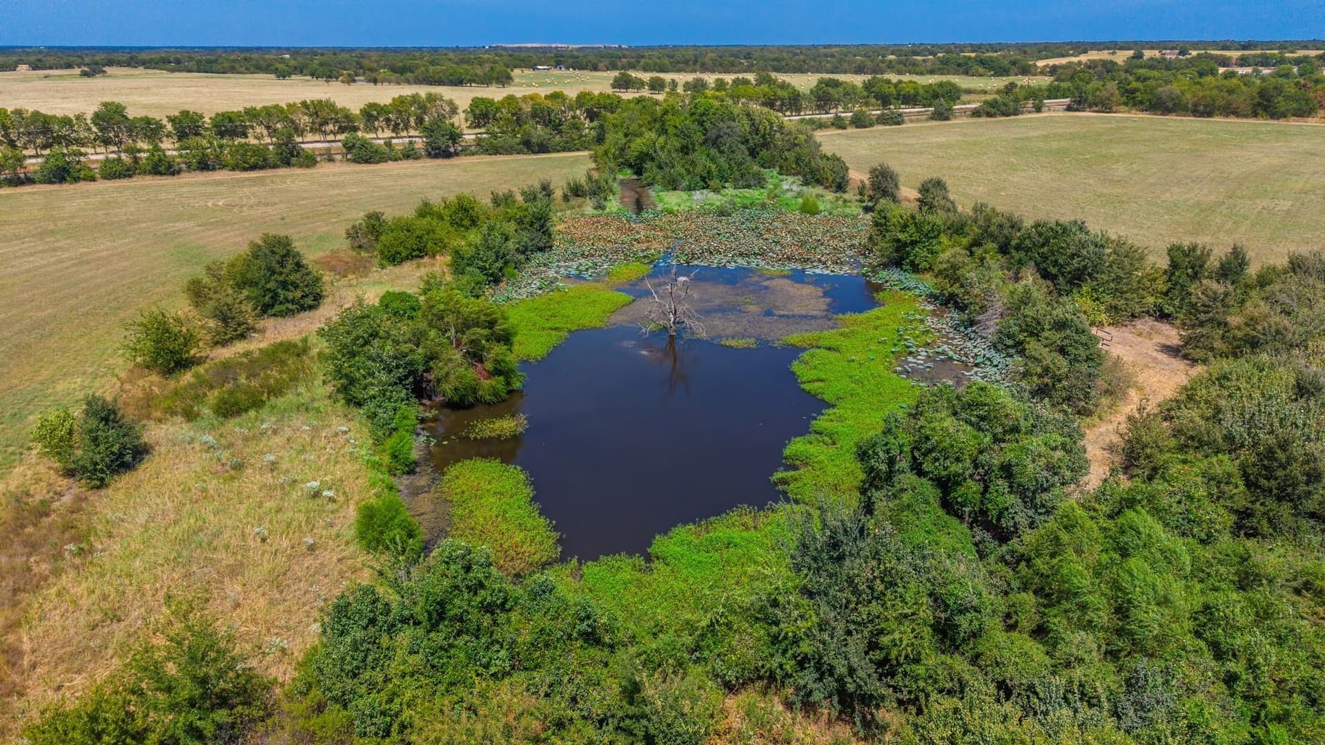 56.9 acres in Hunt County - photo 10
