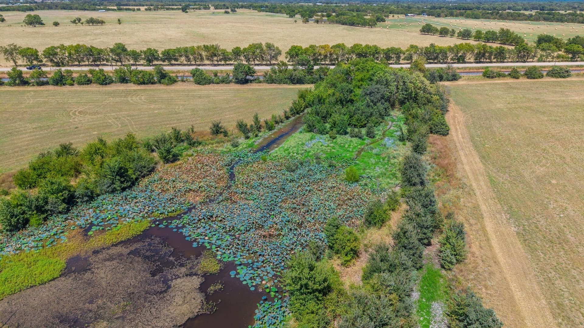 56.9 acres in Hunt County - photo 16