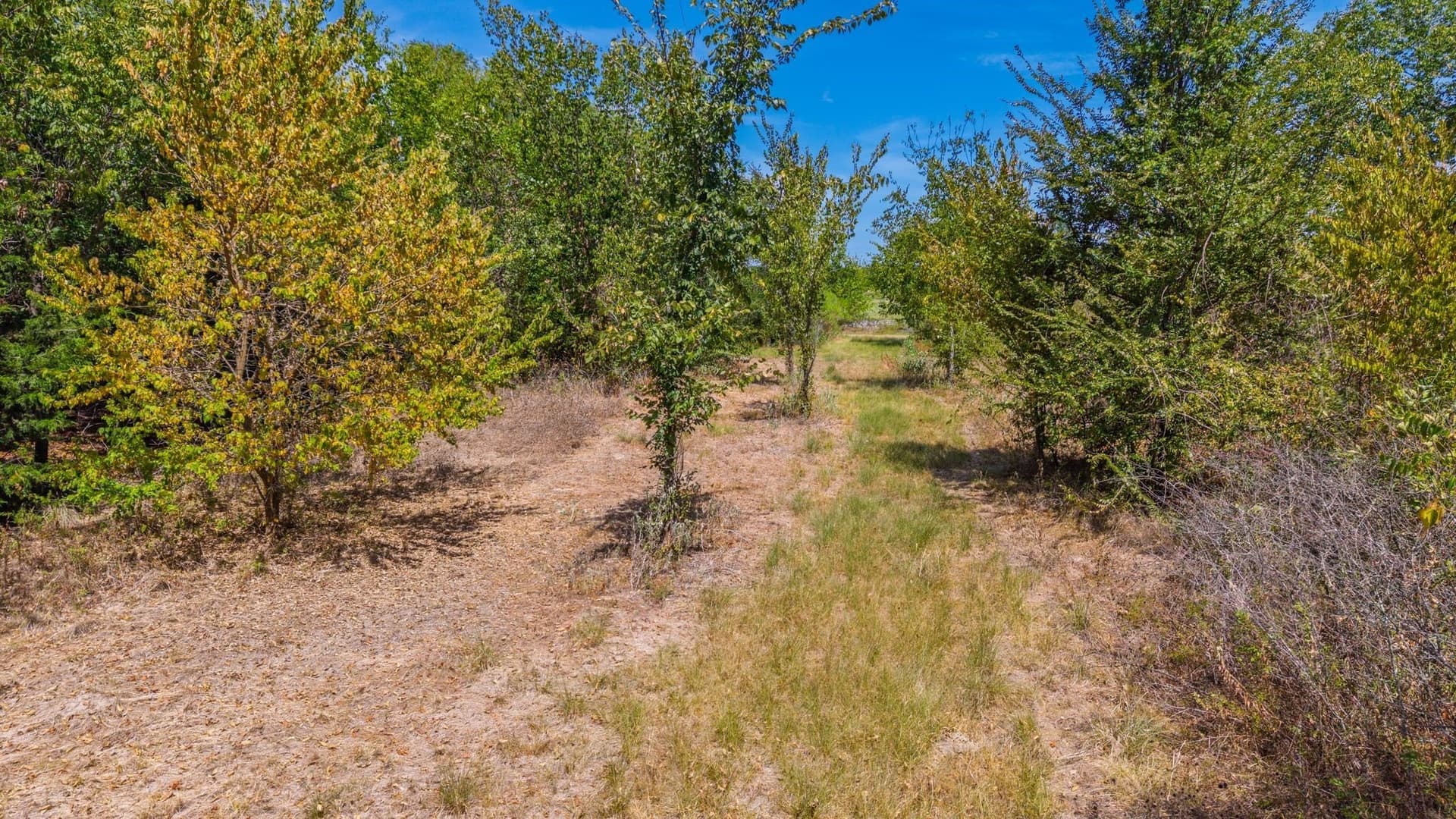 56.9 acres in Hunt County - photo 9
