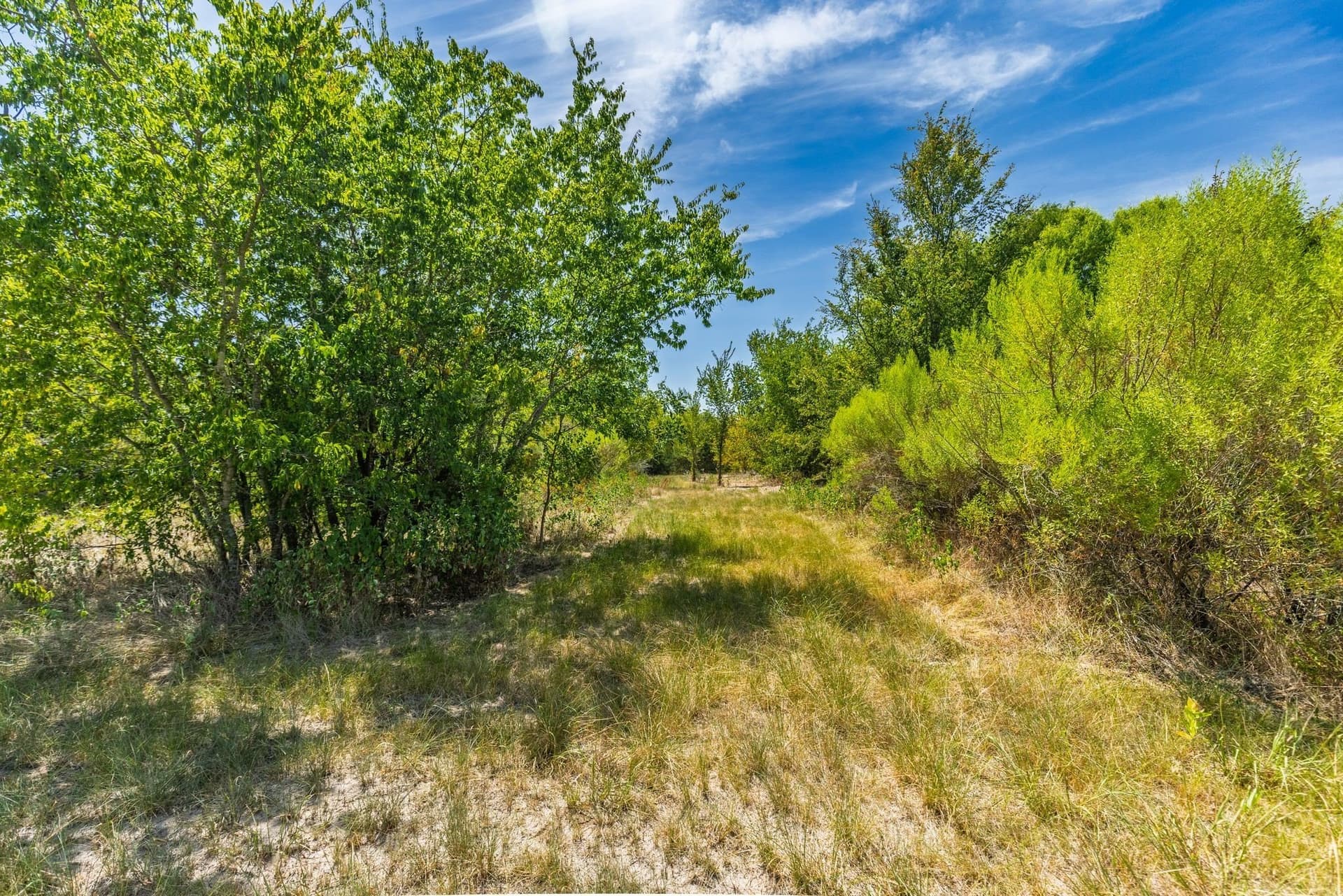 56.9 acres in Hunt County - photo 11