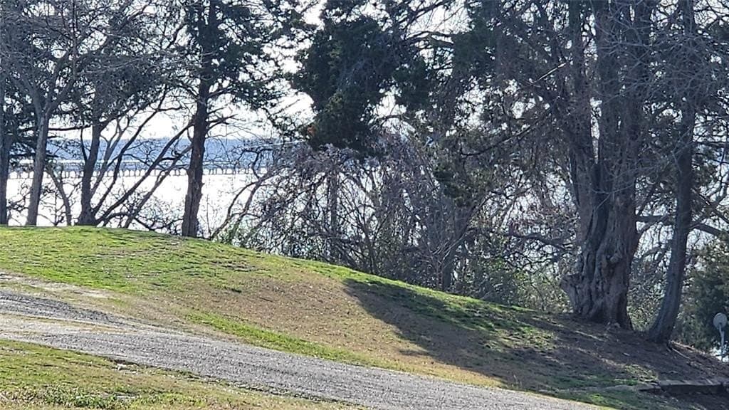 0.17 acres in Rains County gallery image 4