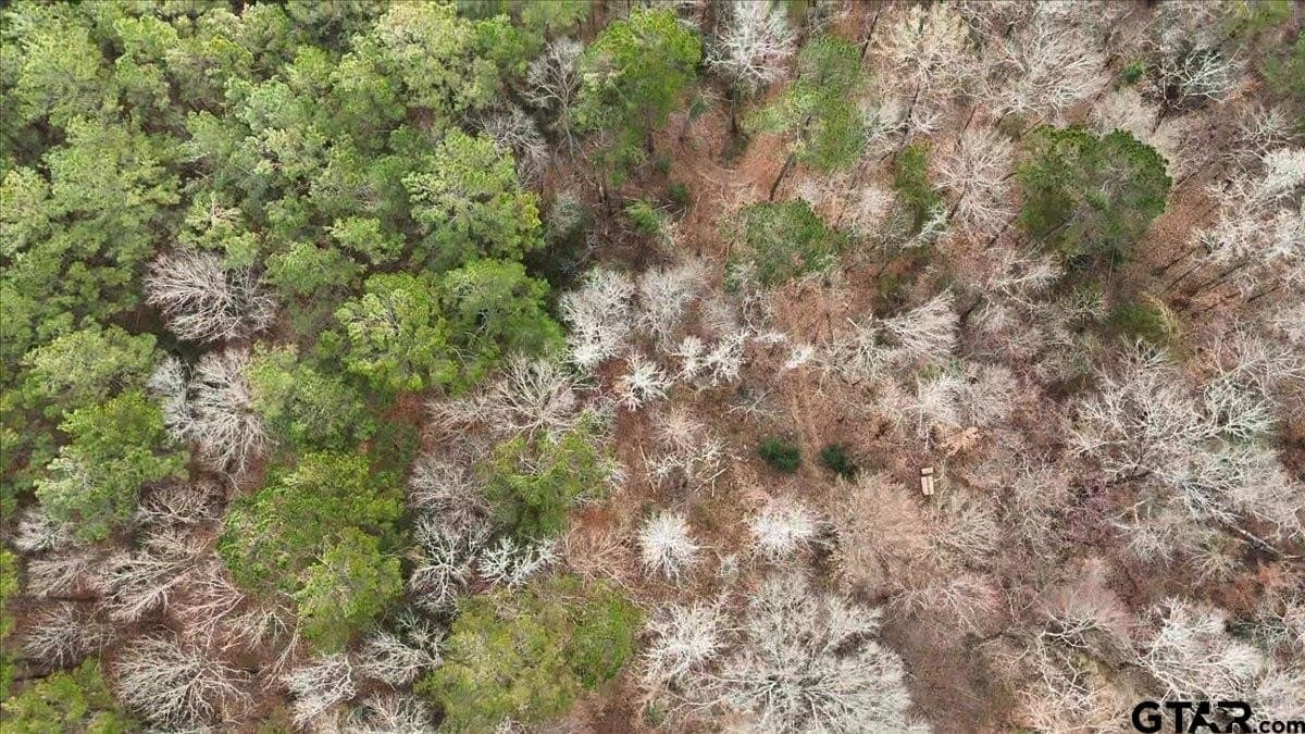 8.9 acres in Rusk County - photo 9
