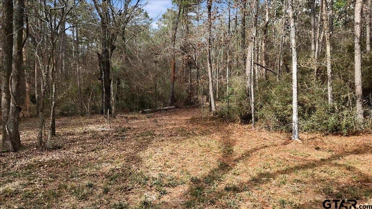 8.9 acres in Rusk County - photo 13