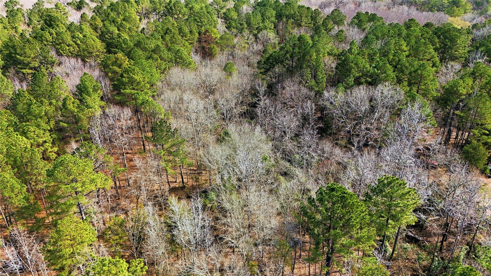 2.5 acres in Smith County - photo 6