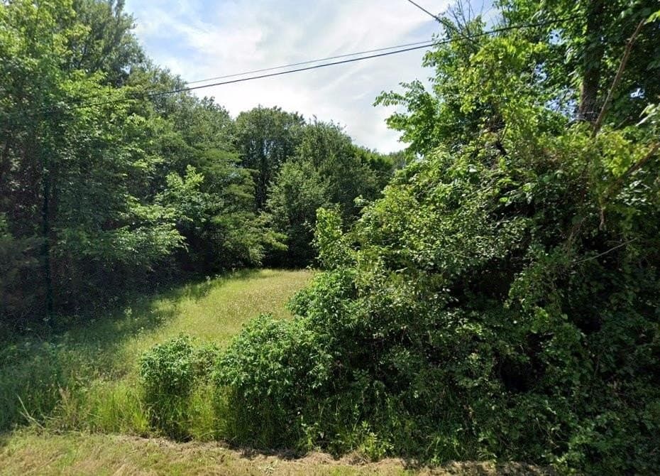 0.17 acres in Lamar County gallery image 3