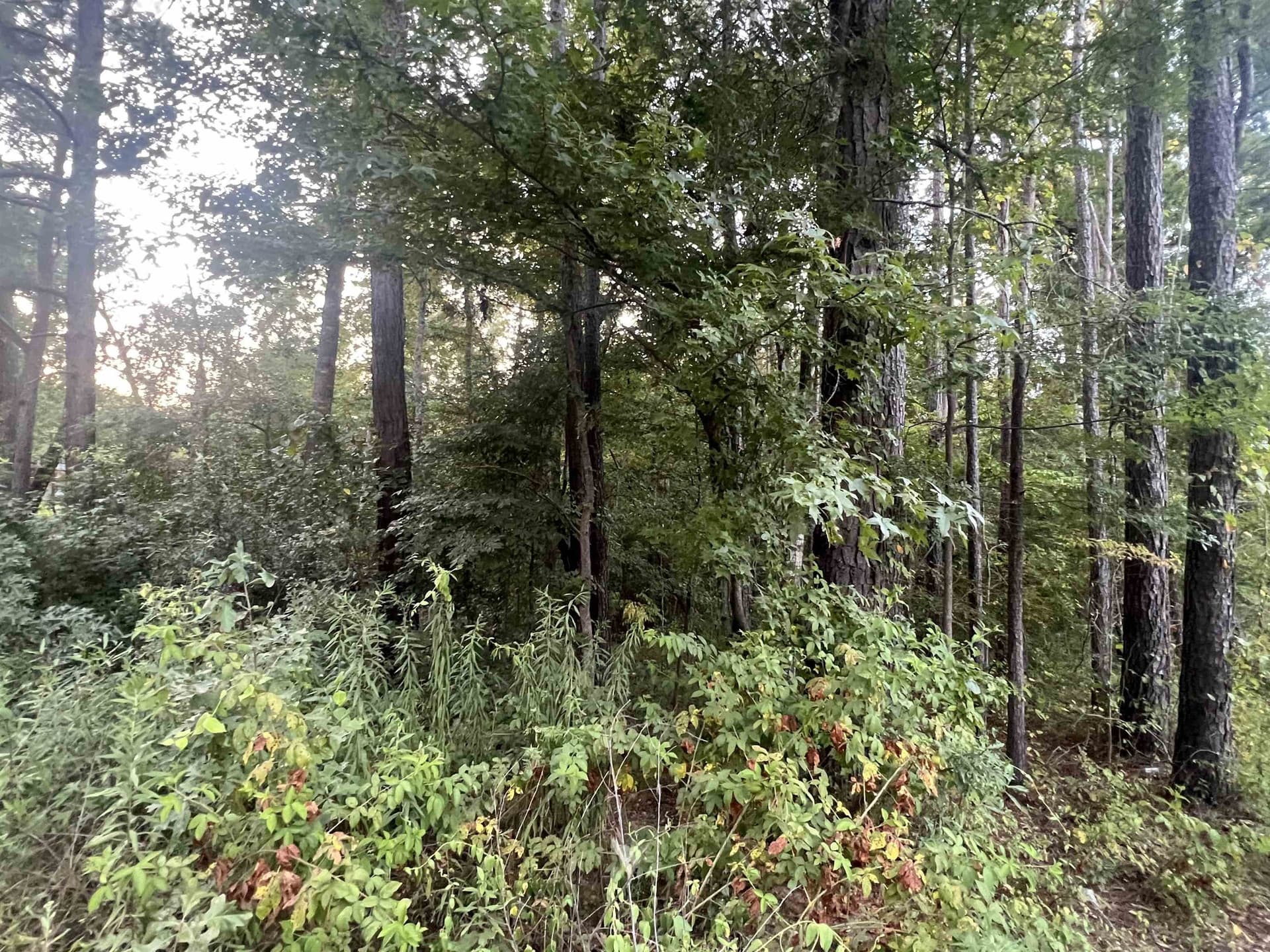 0 acres in Upshur County