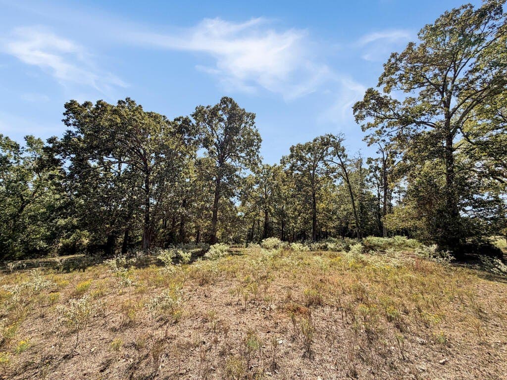 39.55 acres in Texas County - photo 32