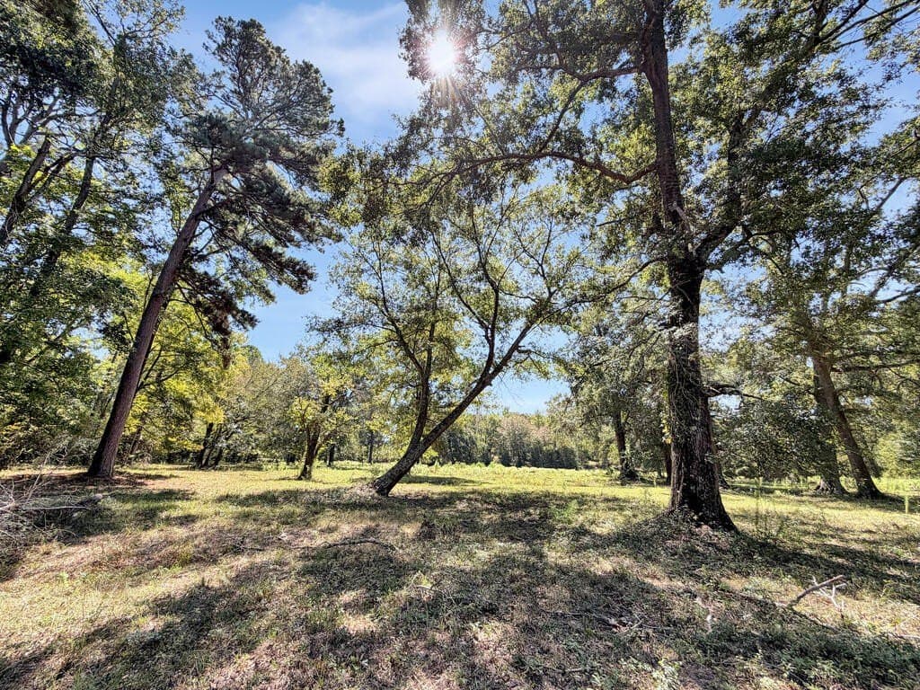 39.55 acres in Texas County - photo 28
