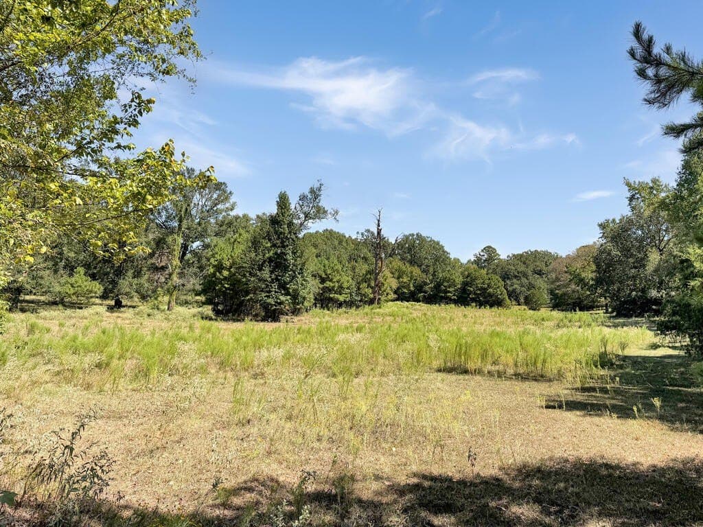 39.55 acres in Texas County - photo 27