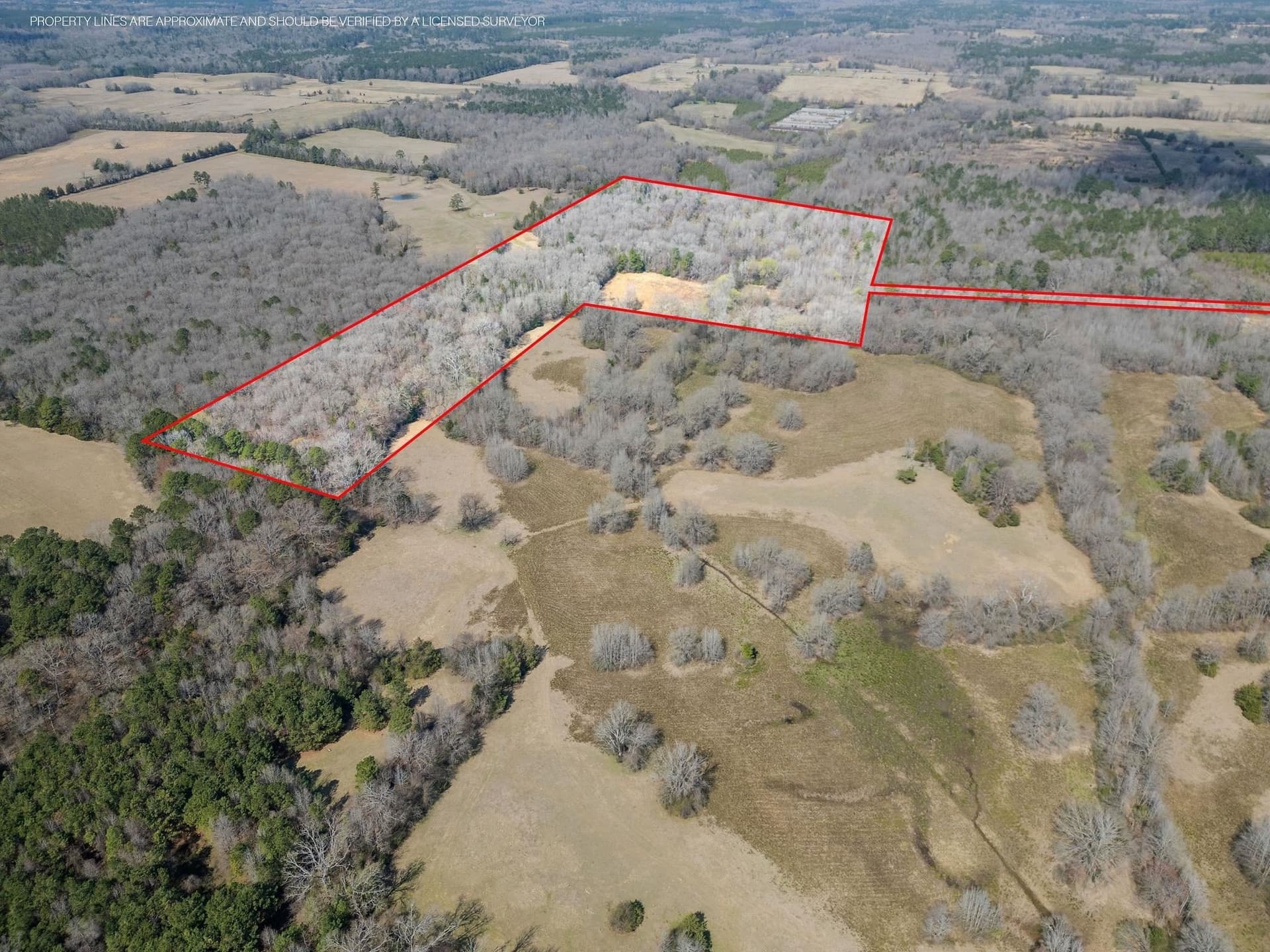 29.95 acres in Cass County - photo 11