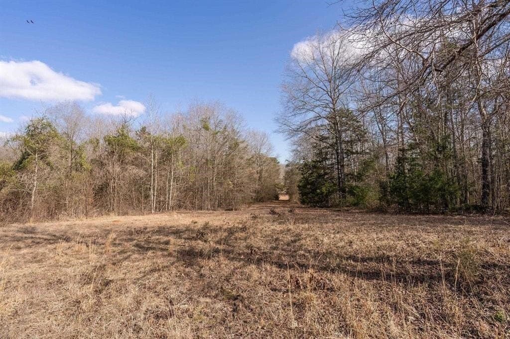 29.95 acres in Cass County - photo 2