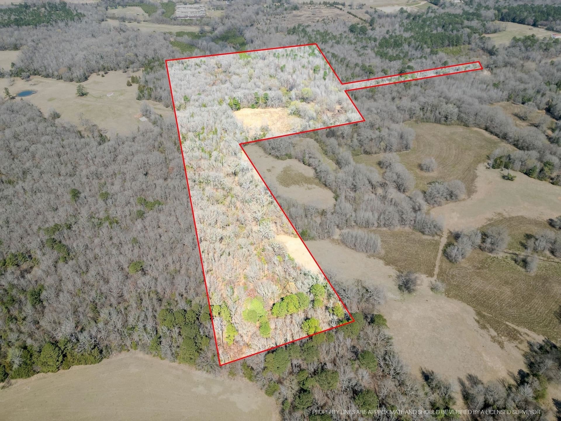 29.95 acres in Cass County - photo 9