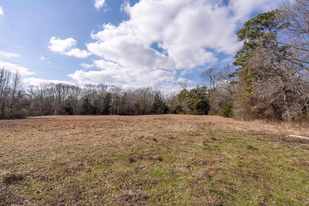 29.95 acres in Cass County - photo 5