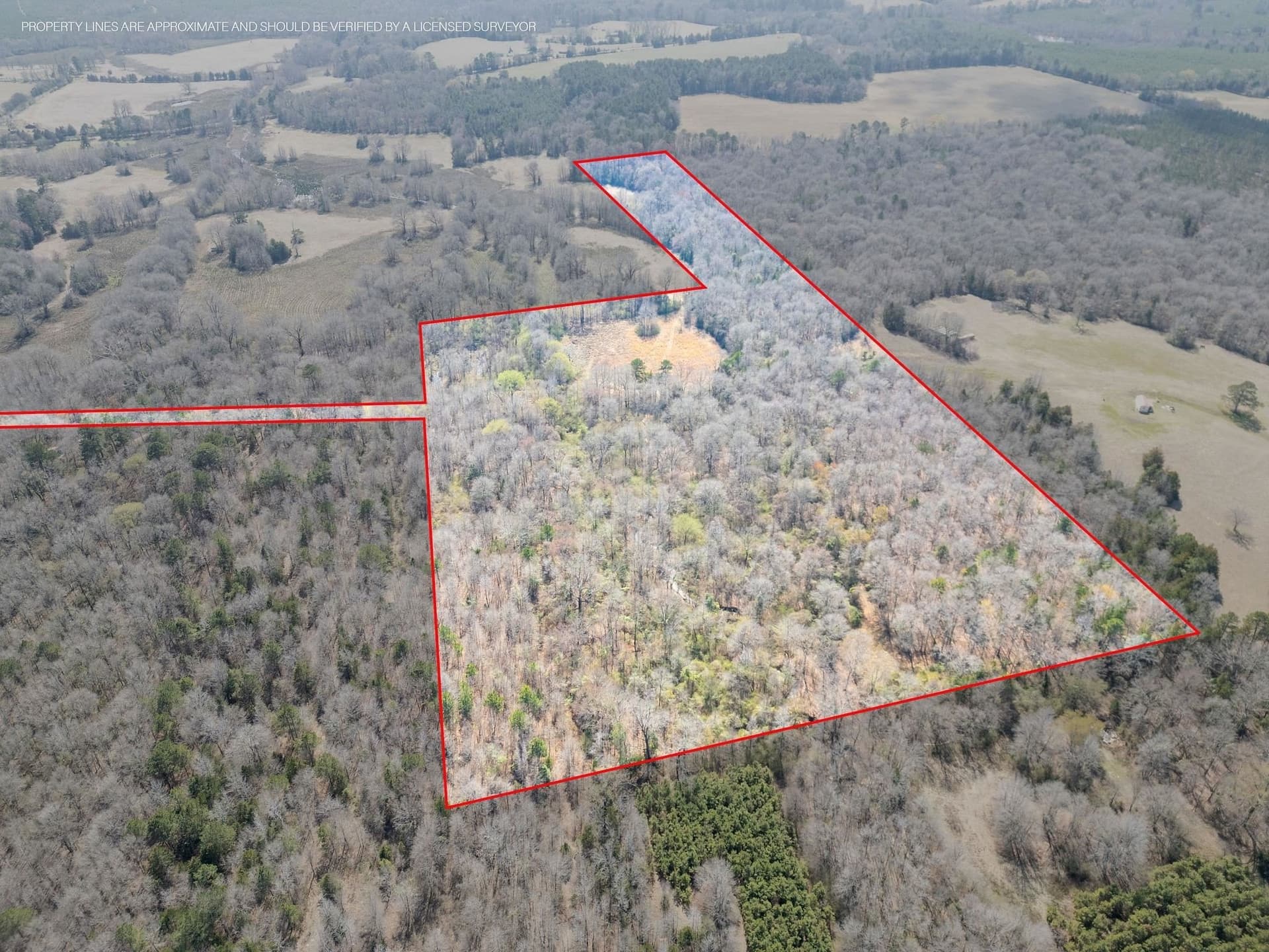 29.95 acres in Cass County - photo 7