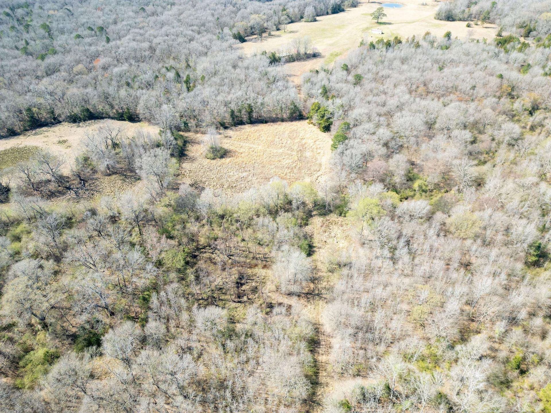 29.95 acres in Cass County - photo 13